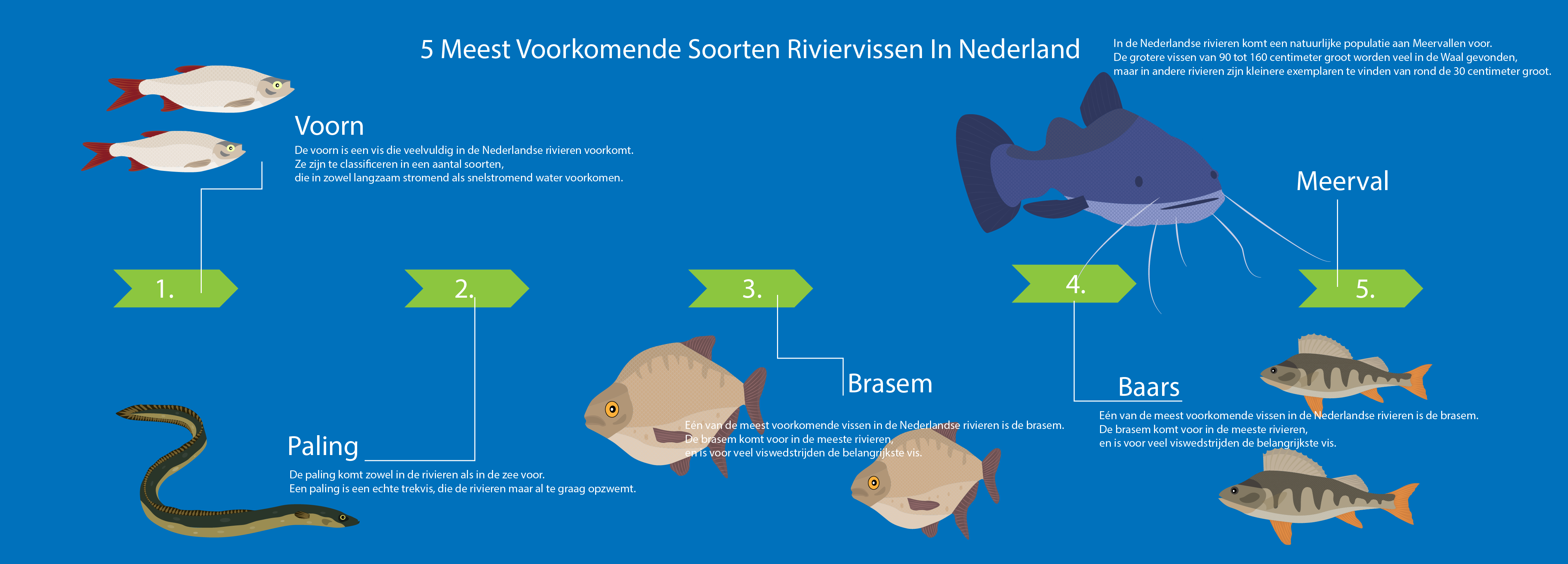 vissen_1.5x